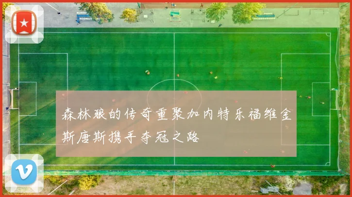 森林狼的传奇重聚加内特乐福维金斯唐斯携手夺冠之路
