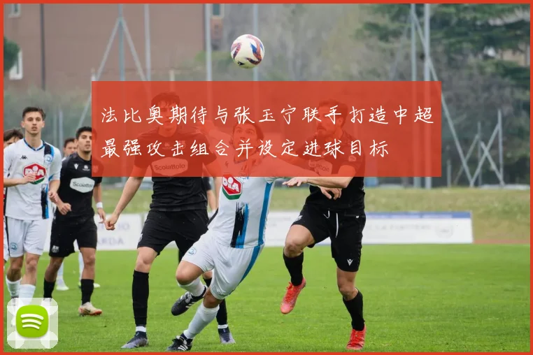 法比奥期待与张玉宁联手打造中超最强攻击组合并设定进球目标